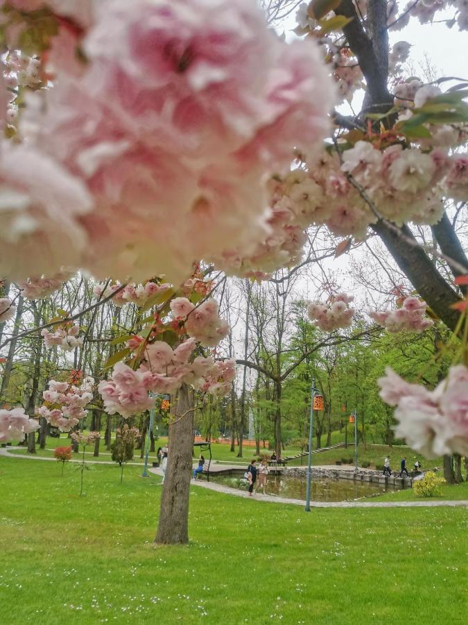 Apartman Japanski Vrt, Centar Vrnjačka Banja 외부 사진